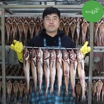 속초 깔끔 코다리 조림 코다리찜 강정 구이 냉동 손질 절단 코다리 특대, 속초 깔끔코다리 특대 2마리 (48cm내외)