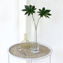 이너스 조화 미니 팔손이 1P