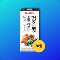 서울우유 검은콩 호두 아몬드 두유 190ml 20개 1박스, 190ml x 20입