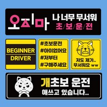 자국안남는 초보운전스티커 자석 (모음) 도로주행 스티커 주행연습, 11.어쩔티비 초보운전