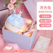 해외배송 리엘라노 스타그램 뮤직박스 오르골 여자 어린이 크리스마스 선물 여자친구 선물, 옵션16