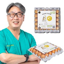 [당일 생산] 닥터안스에그 무항생제 인증 수의사 계란, 대란 30구, 1560g 이상