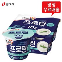 요플레 프로틴요거트 10g 플레인 100gx12입/냉장무배, 12개, 100g