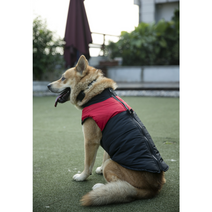 켈리몰 강아지패딩/대형견옷/겨울옷/패딩조끼/중형견옷/진돗개옷/중형견패딩/진돗개패딩/큰개옷/개패딩 추천 파는곳, 그린_3XL