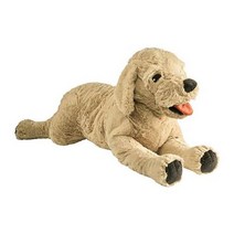 이케아 IKEA 골덴 강아지 골든리트리버 70cm