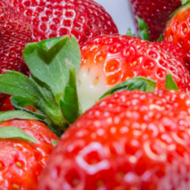 허브애향 스트로베리 (프리미엄) 프레그런스오일, 스트로베리 (딸기향)50