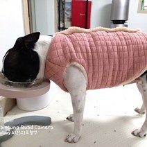 해피앤퍼피 오가닉 양면조끼 외출복 겨울조끼 실내복 강아지옷 애견옷 댕댕이옷, 카인드인디핑크양면퍼