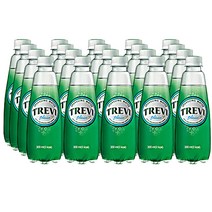 롯데칠성 트레비 플레인 300ml X 20펫 탄산수 탄산음료, 20개