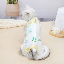 철벽수비 고양이 중성화복 강아지 올인원., 블루쿠키／S