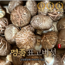 산지직송 국산 쫄깃쫄깃무농약 생표고버섯 1kg 건표고버섯 100g 화고 1kg, 파지1kg