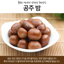[1+1 증정] 식이섬유 비타민 풍부 맛좋은 국내산 공주밤 500g ~ 20kg 옥광밤 토망고 맛밤 약단밤 밤 군밤 공주옥광밤 햇밤 약밤 공주알밤 생율 포르단밤 생율밤 생밤 부여밤, 중, 4kg+4kg