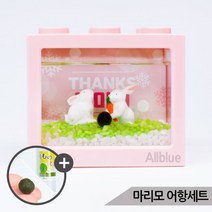 당근밀당중 토끼장식 마리모키우기 세트 마리모 포함