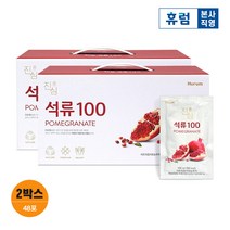 휴럼 진심 석류 100 24포 2박스 터키산 석류 농축액, 2개, 단품