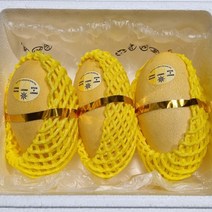 태국 Nam Dok Mai 골드 망고 1kg 태국직배송