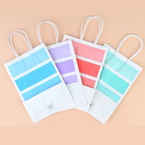 컬러 라인 리유저블백 선물용 종이 가방 쇼핑백 도매 선물 미니 답례품 다회용 백 봉투 술 옷가게 튼튼한 소형 중형 대형 직사각 손잡이 화장품 케이스, 대 - 민트