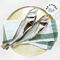 지방이 적은 보양식 속초 생선, 반건조 민어 2미
