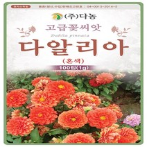 다농원예가든 다알리아 혼색100립