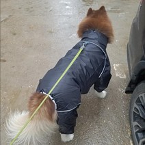 애견 레인코트 중대형견 래브라 다방목 허스키 풀커버 후드백 꼬리우비, 검은-수컷, 20#가슴 70등 45cm 20-35근 적용