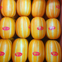 ( 산지직송 ) 성주 참외 당도보장 가정용 최상품 로얄과, 가정용로열과 10kg (31~50개)