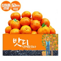 [gs특가]12Brix 당도보장 신품종 산하홍 귤 3kg(L-2L), 단품