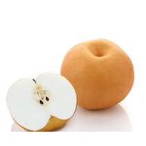 [ 당일경매 ] 초신선 프리미엄 배 3 / 5kg 가락시장 새벽경매 제철과일, (특1등급) 배 3kg 내외 (4수 내외)