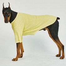 럭키페터 깅엄체크 강아지 옷 소형견 대형견 티셔츠, 옐로우