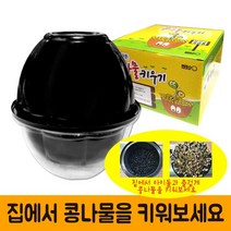 콩나물키트/가정용콩나물/콩나물키우기키트/관찰학습, 콩나물키트-콩 포함(국산)
