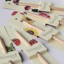 꿈쟁이 씨앗연필 1p 식물기르기 5종 바질, 1개