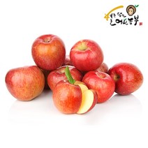 [별담농]22년 햇부사 2.5kg~10kg 가정용/주스용, 주스용사과10KG