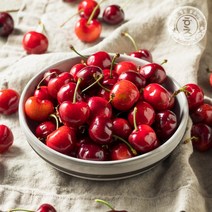 [홍천철원] 워싱턴 빙 체리 10.5row 900g 2개 구매시 200g 추가 외., 체리 900g (10 row)