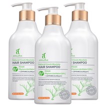 내추럴히노끼 앱솔루트 헤어 편백 샴푸 피톤치드 두피케어 비듬 탈모 완화 기능성 샴푸, 500ml, 3개