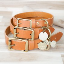 아미펫 리얼스킨 강아지 목줄 소 중 대형견 이름표 이태리 가죽목줄, 각인O