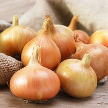 달큰하고 아삭한 국내산 햇 양파 대 3kg 5kg 10kg, 02_5kg