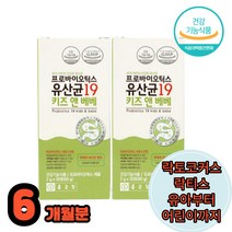 요구르트맛 유아영양제 두돌아기 영양제 락토코커스락티스 락티스 돌부터 6세 6개월분