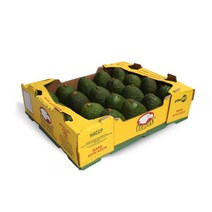 거북농산아보카도 인기 제품 할인 특가 리스트