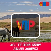 VIP 몽골 4G LTE 포켓 와이파이 매일 1GB 후 저속 국내공항 수령, 매일 1GB 후 저속 1일/김해공항