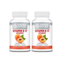 그린오피젠 비타민 b17 살구추출물 1000mg 120정 2병, 2팩