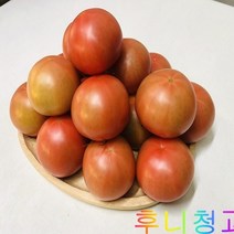 후니청과 신선한[특품]완숙 찰토마토(동양종) 토마토(유럽종), 1box, 5kg(5번)