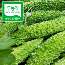 생여주 2022 월출산자락 땅끝 햇 여주 5kg 10kg, 건여주1kg