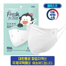 더숨 kf80 소형 어린이용 새부리형 쿨링감소재 귀통증없는 특수밴드 에버프레쉬 보건용마스크 1매입 개별포장, 30매, 화이트
