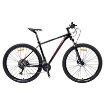 독일 프리미엄자전거 휠러 알루미늄 로드/MTB자전거 특가전, 완조립, 480그레이, 로드옵션1 RWA50