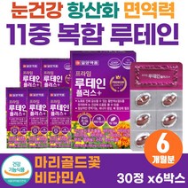 야간 운전 눈부심 눈충혈 눈의 피로도 개선 프리미엄 LUTEIN 마리골드꽃 결명자 추출물 80대 노인 건조한 눈 피로 시림 면역력 보조제 고함량 뉴테인 70대 어르신 침침한눈