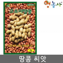 고소미 땅콩 씨앗 30g 땅콩씨 땅콩씨앗 콩씨 콩씨앗