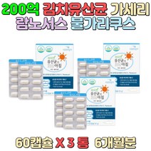 김치유산균 락토바실러스 가세리 람노서스 불가리쿠스 불규칙한 식습관 직장인 중년층 주부 임산부 장건강 아랫배가 더부룩한 분 온가족 유산균 과도한 업무 현대인