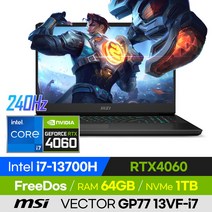 [사은품 증정!] MSI VECTOR GP77 13VF-i7 고사양 배그 롤 로아 오버워치 발로란트 17인치 게이밍 노트북 (코어i7-13700H/RTX4060), 윈도우 미포함, 64GB, 1TB, 코어i7, 블랙