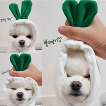 강아지 겨울 옷 티셔츠 애견의류 후드티 기본 스웨터 코트 귀여운 개구리 모양 따뜻한 재킷 고양이 추운 날씨 외투 개 할로윈, 6.무 - XXL