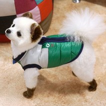[패리스독] 싸인램프패딩 (그린) 427395, 그린 M