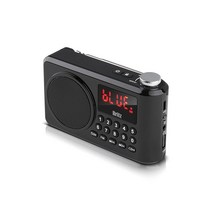 브리츠 블루투스 스피커 USB TF 메모리카드 MP3재생 휴대용 효도 라디오 비상후레쉬 타이머 지원 등산 낚시 조깅 캠핑용 휴대폰 태블릿 연결, BZ-LV990, 블랙