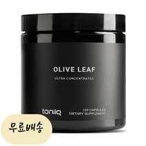 토니크 올리브잎 추출물 올레우로페인 500mg 120캡슐, 1개, 120개
