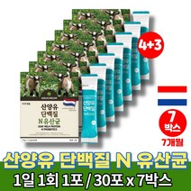 산양 분유 우유 분말 스틱 초등학생 중학생 청소년 직장인 타먹는 트레이더스 단백질 가루 보조제 퀄리고트 유익균 먹이 프락토 올리고당, 7박스